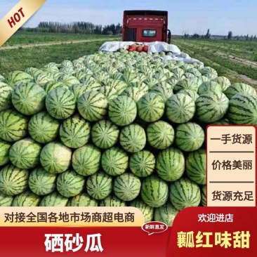 精品宁夏硒砂瓜，爽口脆甜，品质保证。