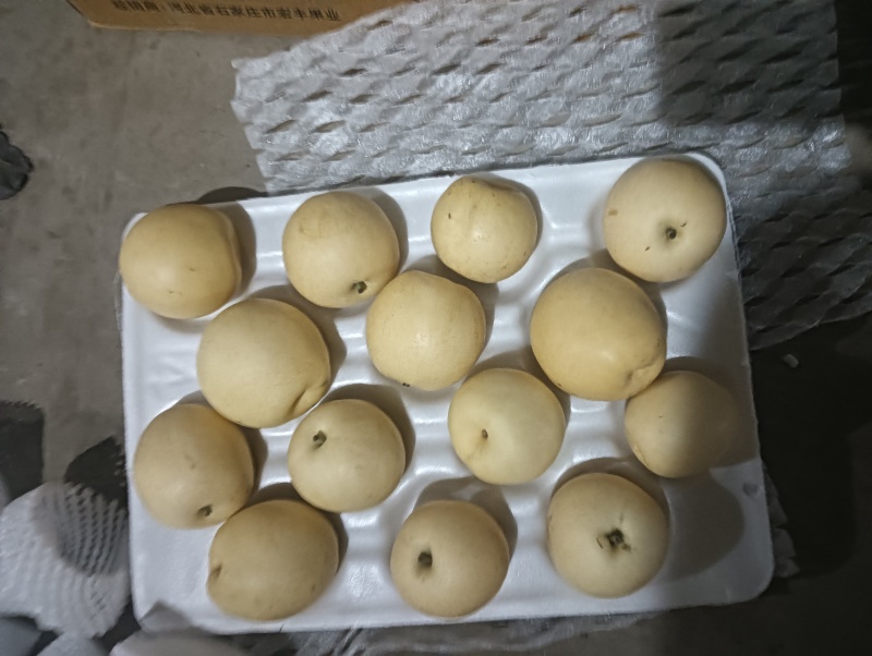 河北煜辉果品
