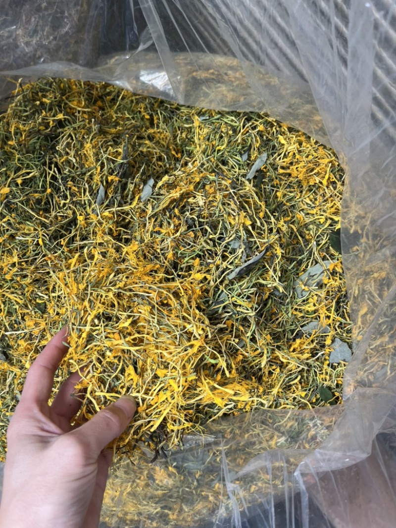 野生金银花