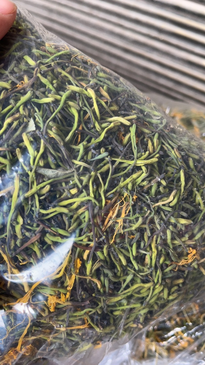 野生金银花