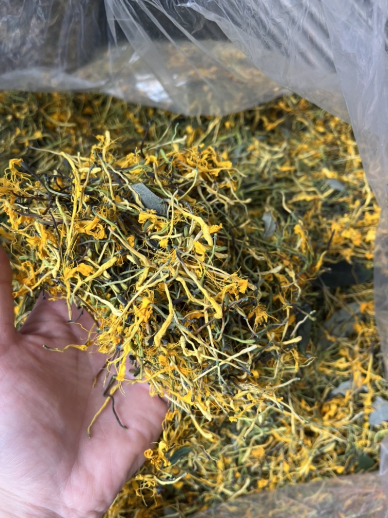 野生金银花
