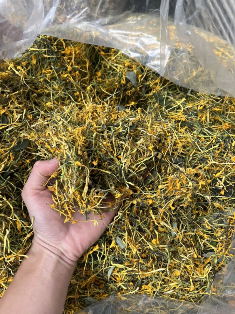 野生金银花