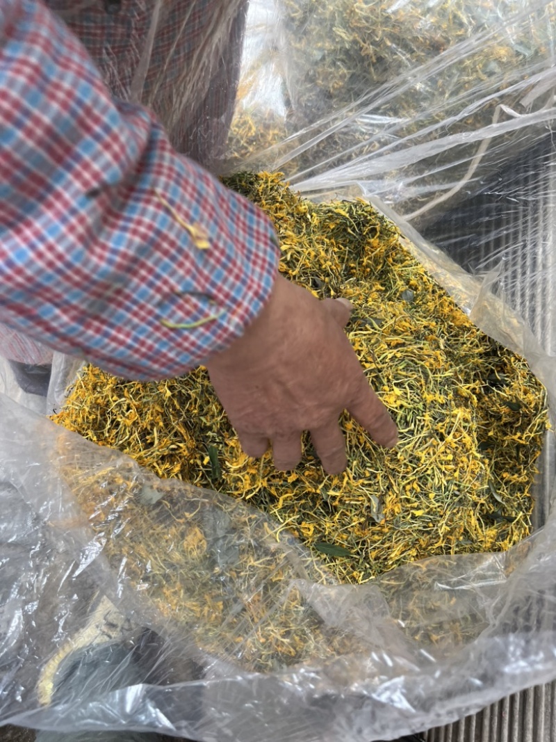 野生金银花