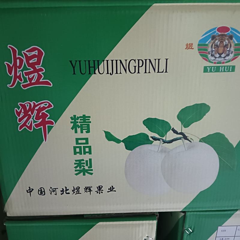 河北煜辉果品