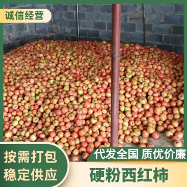 硬粉西红柿