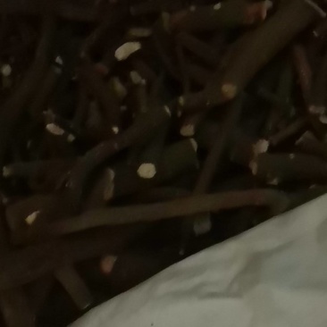 赤芍药根