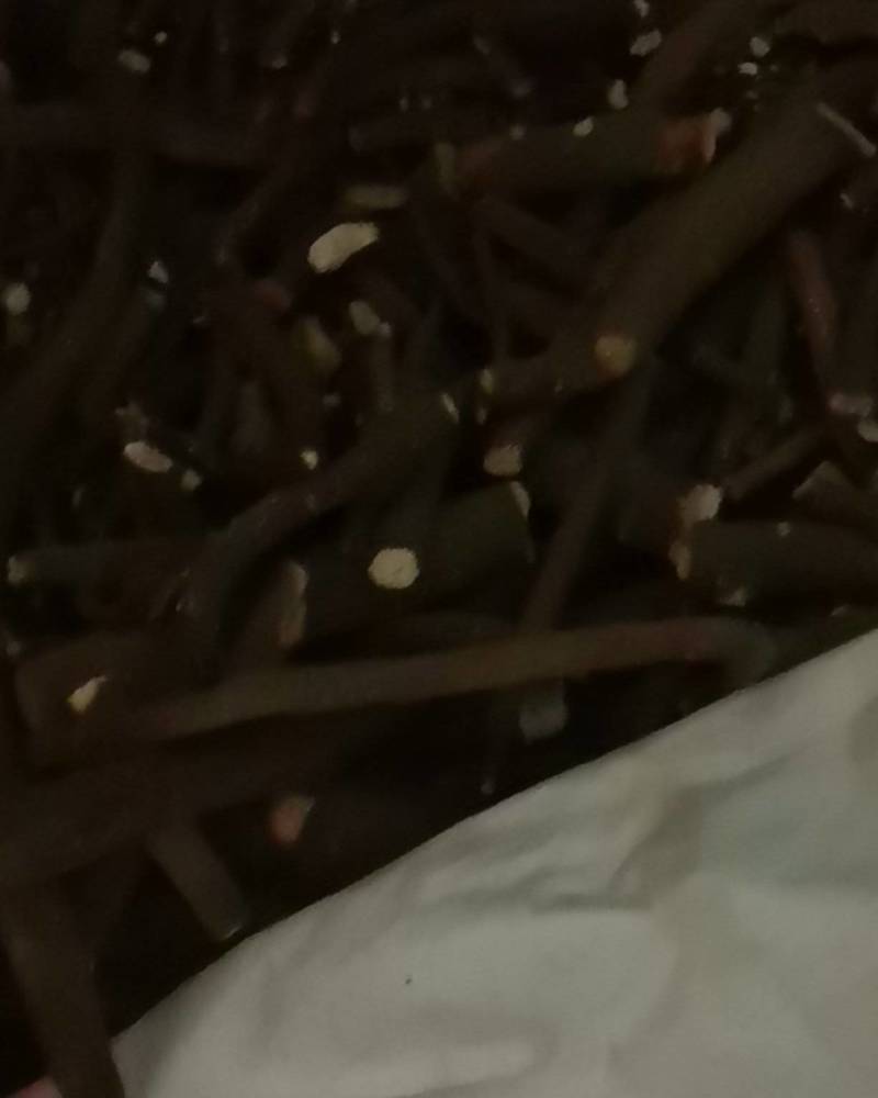 赤芍药根