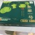 江苏精品水果酥脆一号梨子新鲜现货大量上市可视频看货