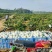 红心芭乐基地直发品质保证诚信经营价格实惠