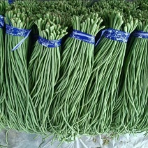 一手货源，精品豆角，视频看货，青条豆角，