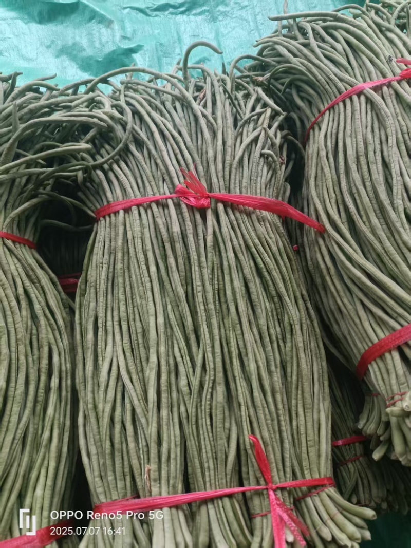一手货源，精品豆角，视频看货，青条豆角，