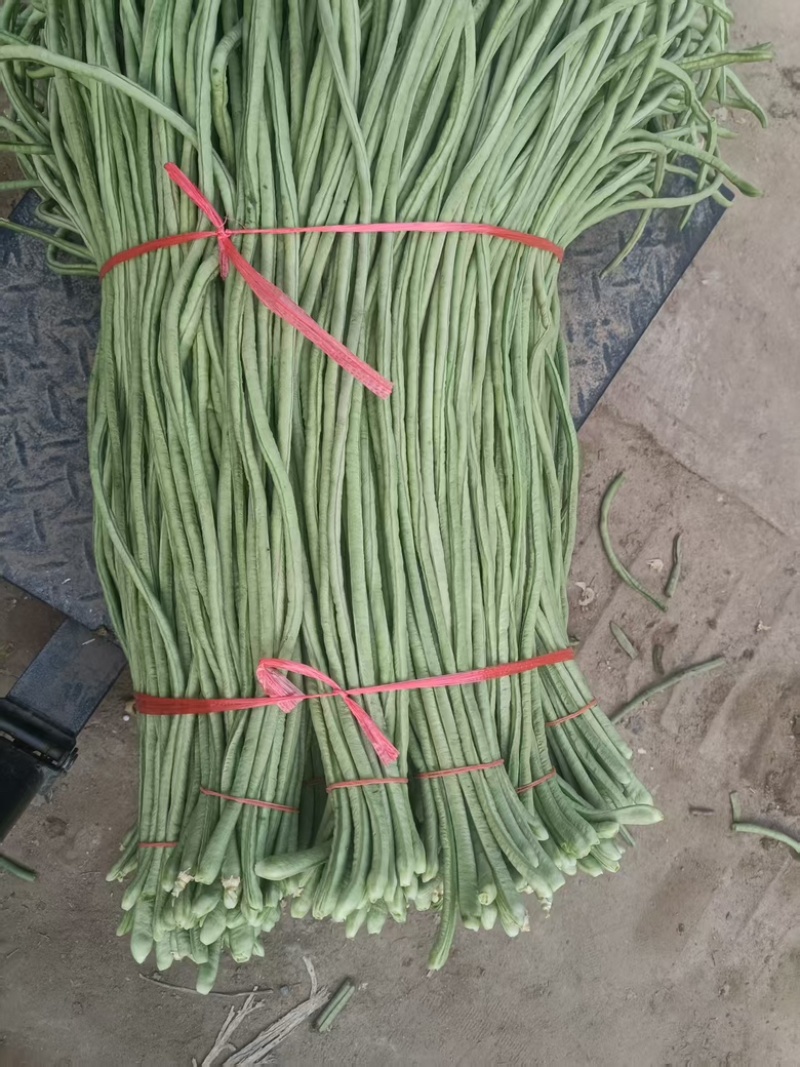 一手货源，精品豆角，视频看货，青条豆角，