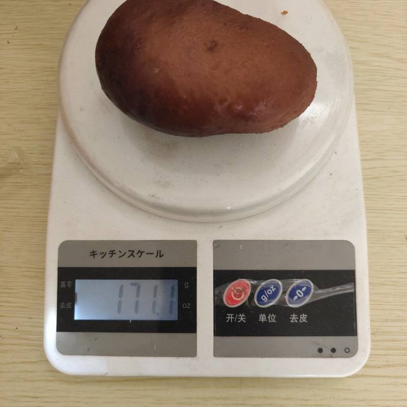 鸡宝