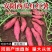 西瓜红红薯大量供应中价格美丽对接市场商超档口量大从优