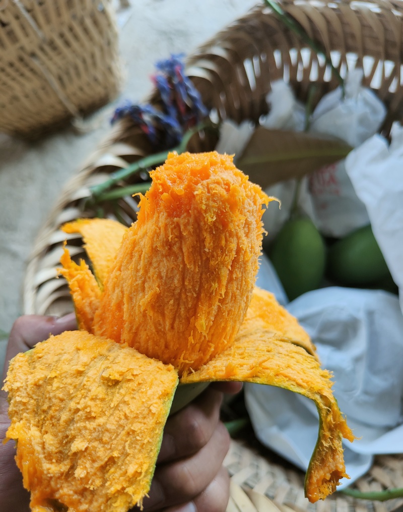 攀枝花椰香芒果十斤一件发
