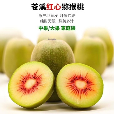 苍溪红心猕猴桃
