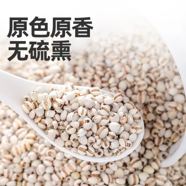 薏米薏仁米薏米仁新货贵州大薏仁米可搭配五谷杂粮粗
