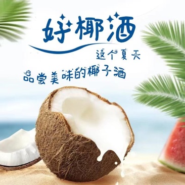 黄金椰子酒海南椰酒40度52度礼盒装整箱椰子酒海南正宗椰酒