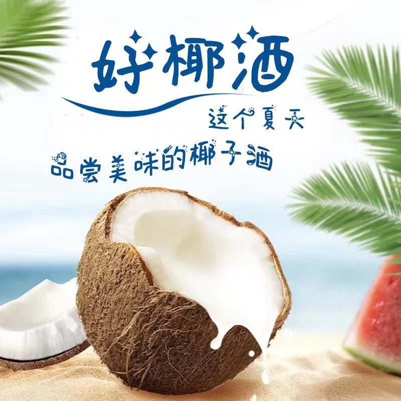 黄金椰子酒海南椰酒40度52度礼盒装整箱椰子酒海南正宗椰酒