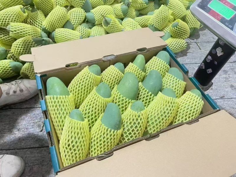 桂七芒果产地发货新鲜采摘一级大果礼盒装全国供应链各种电商平