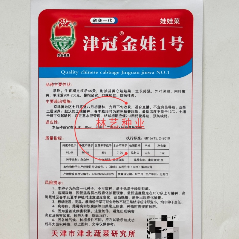 津冠金娃1号娃娃菜种子早熟耐抽苔黄心结球大白菜种籽