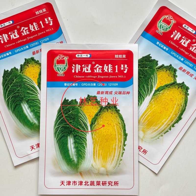 津冠金娃1号娃娃菜种子早熟耐抽苔黄心结球大白菜种籽