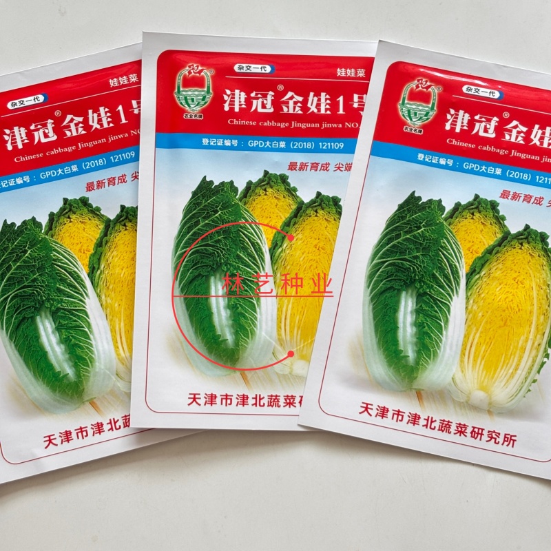 津冠金娃1号娃娃菜种子早熟耐抽苔黄心结球大白菜种籽