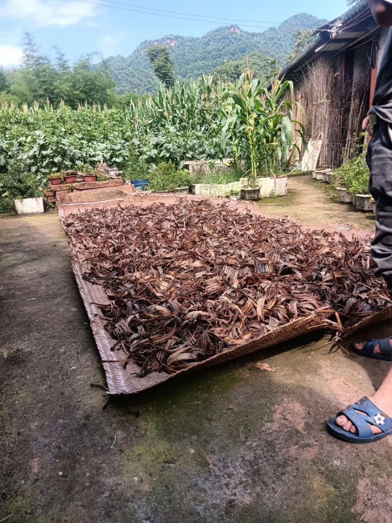 川地龙基地加工批发全开无泥板面好