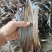 川地龙基地加工批发全开无泥板面好