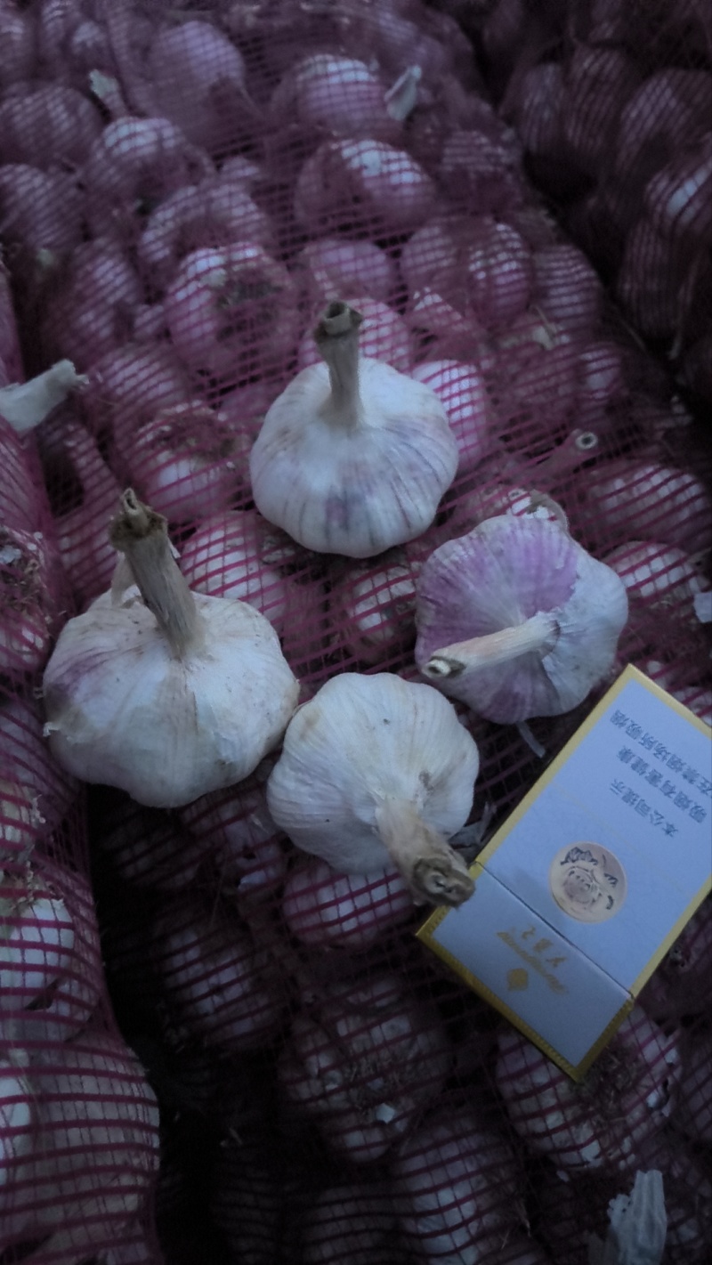 精装