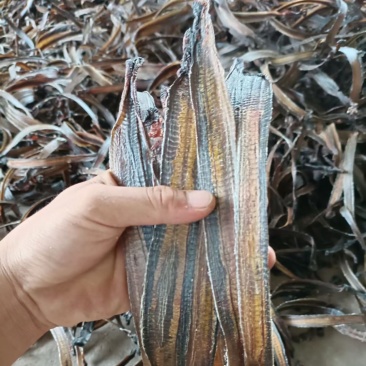 川地龙基地加工直供全开无泥板面好