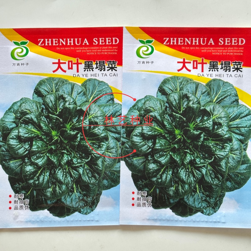 大叶黑塌菜种子叶片大肥厚墨绿乌塌菜种子耐寒耐抽苔黑乌塌菜
