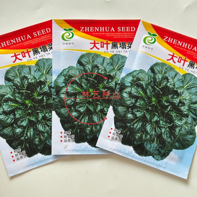大叶黑塌菜种子叶片大肥厚墨绿乌塌菜种子耐寒耐抽苔黑乌塌菜