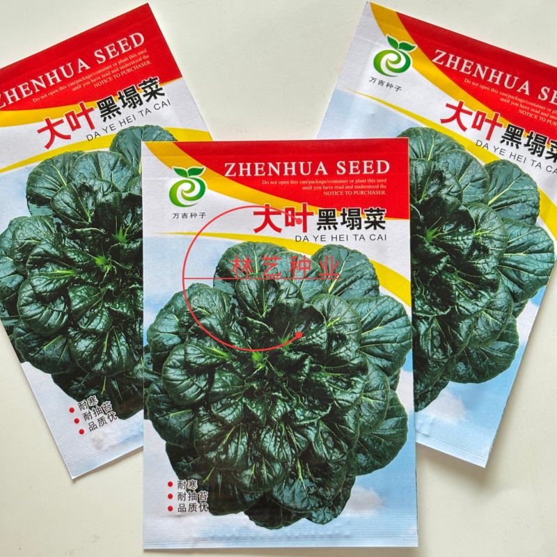 大叶黑塌菜种子叶片大肥厚墨绿乌塌菜种子耐寒耐抽苔黑乌塌菜