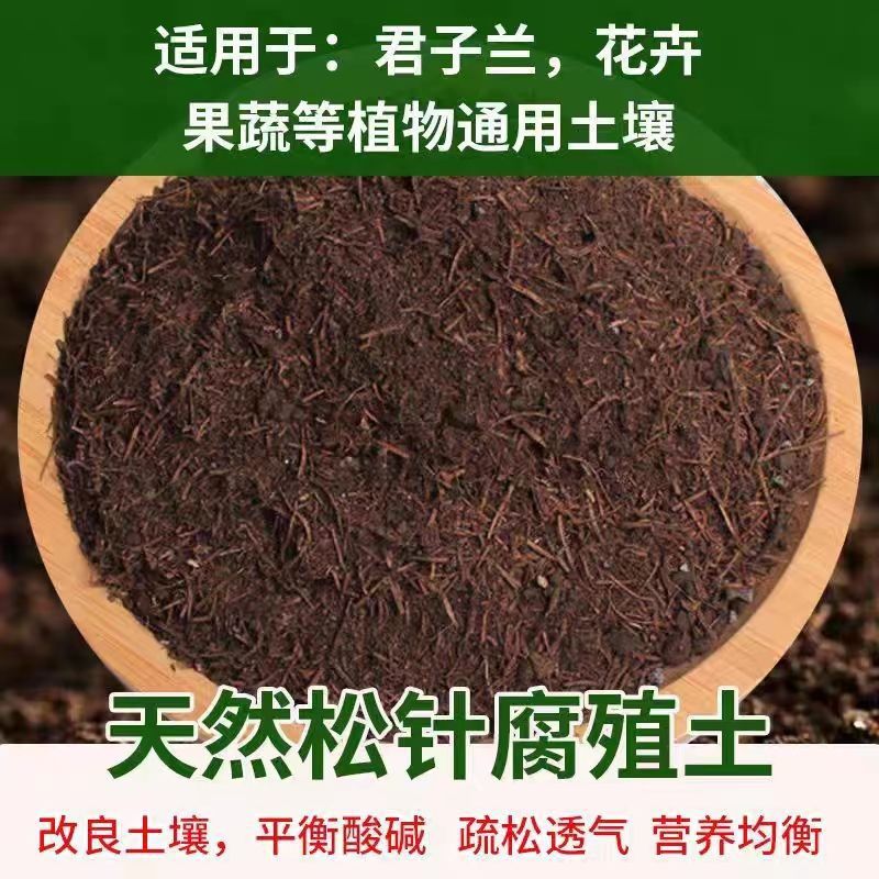 松针土/腐殖土/营养土/粉碎松针/育苗基质/腐熟干松针