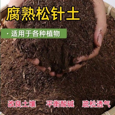 松针土/腐殖土/营养土/粉碎松针/育苗基质/腐熟干松针