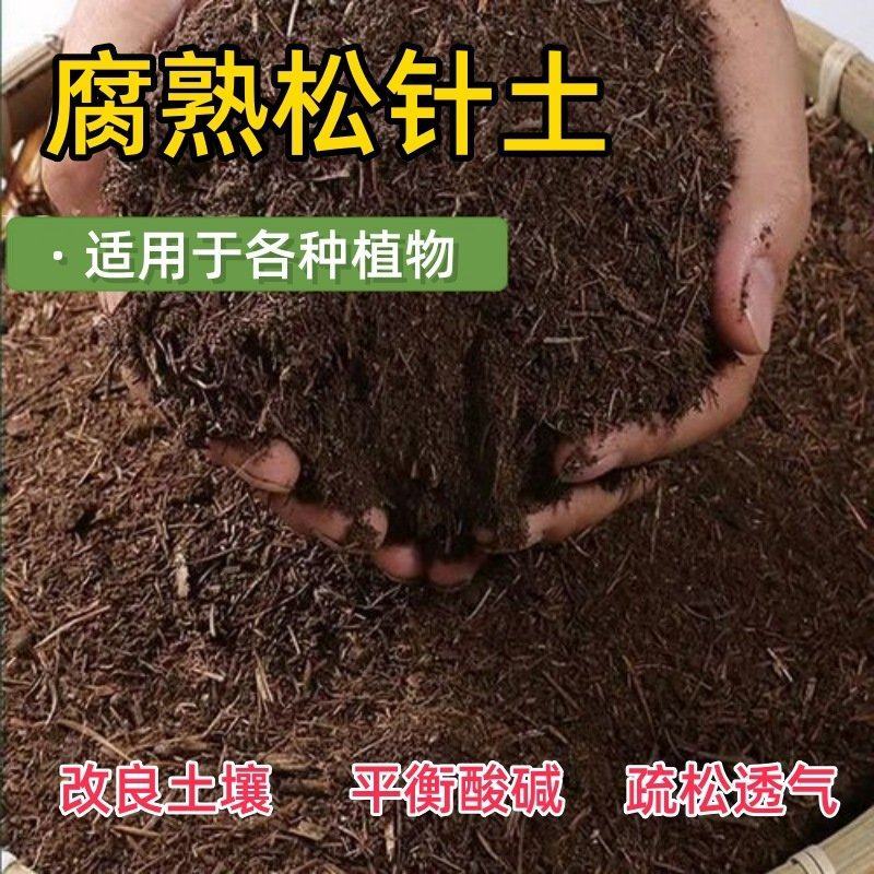 松针土/腐殖土/营养土/粉碎松针/育苗基质/腐熟干松针