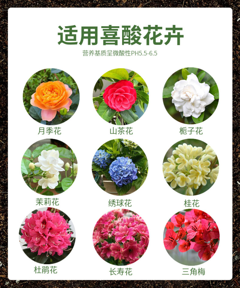 松针土/腐殖土/营养土/粉碎松针/育苗基质/腐熟干松针