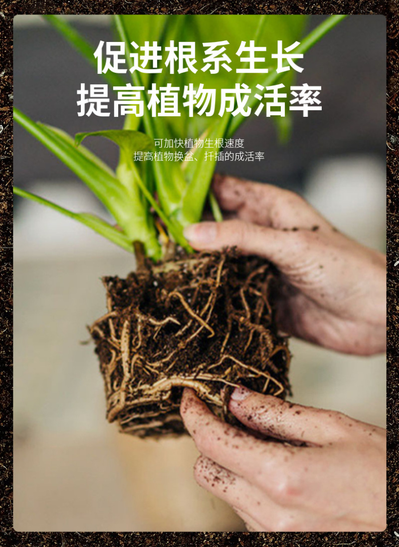松针土/腐殖土/营养土/粉碎松针/育苗基质/腐熟干松针