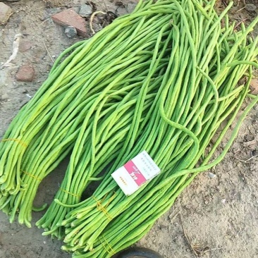 豆角