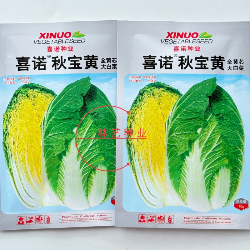 喜诺秋宝黄全黄芯大白菜种子口感好全黄芯高产抗病商品佳