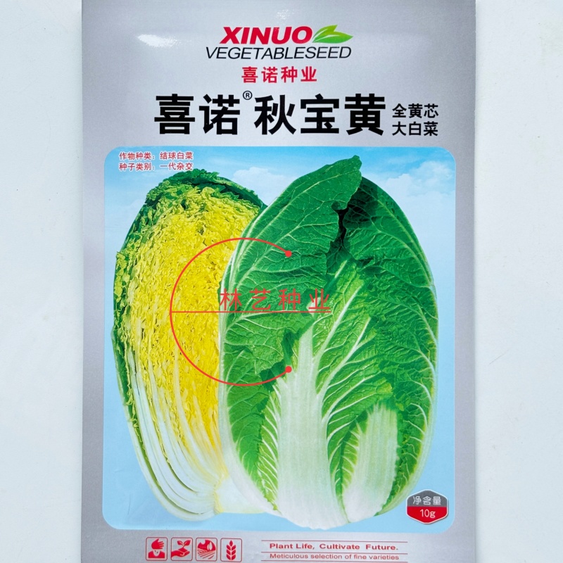 喜诺秋宝黄全黄芯大白菜种子口感好全黄芯高产抗病商品佳