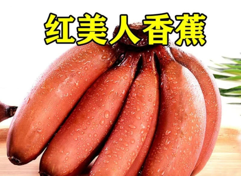 红美人香蕉，香甜可口，老少皆宜，自然生长不使用化肥农药1