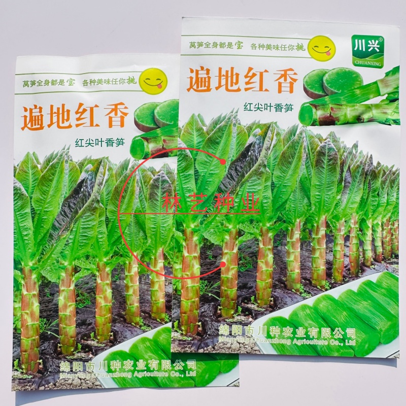 遍地红香红尖叶香莴笋种子高产抗病耐热耐寒农家菜园庭院蔬菜