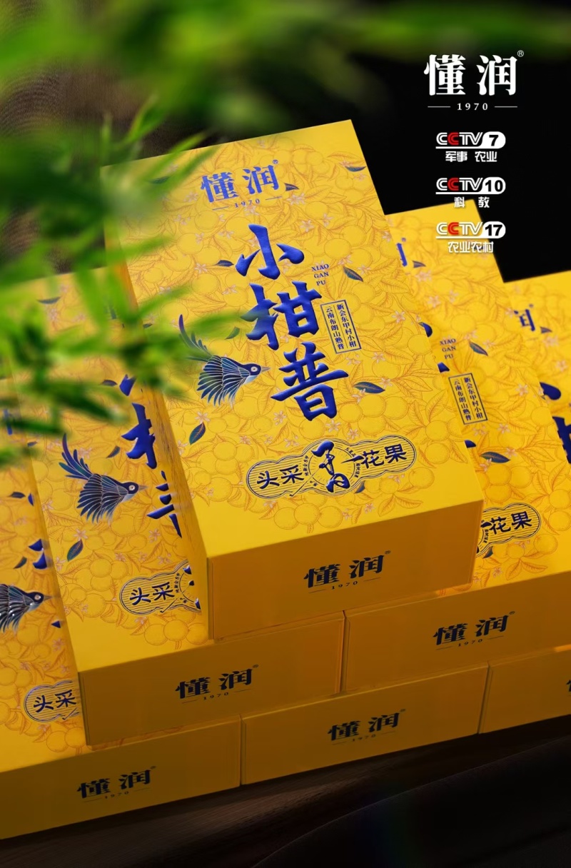 新会东甲柑普茶小青柑250克
