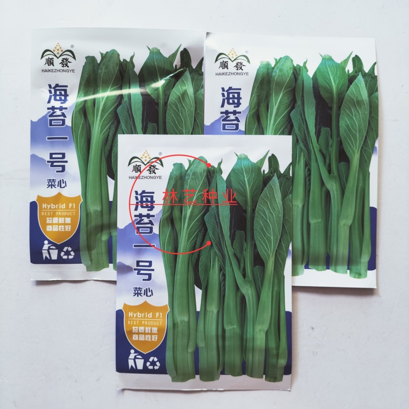 顺发海苔一号早熟菜苔种子菜心漂亮苔质鲜嫩菜苔种子