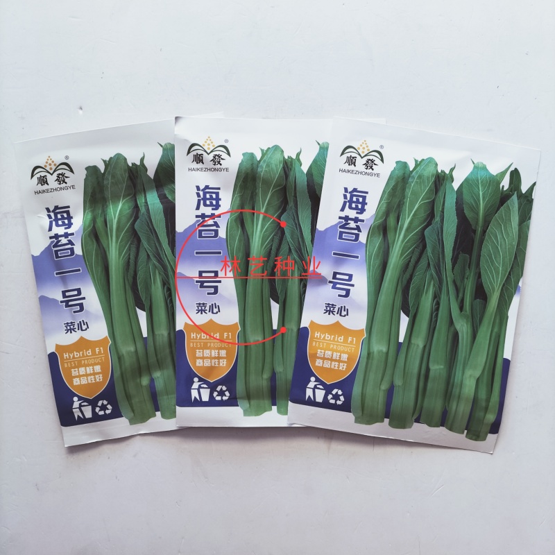 顺发海苔一号早熟菜苔种子菜心漂亮苔质鲜嫩菜苔种子