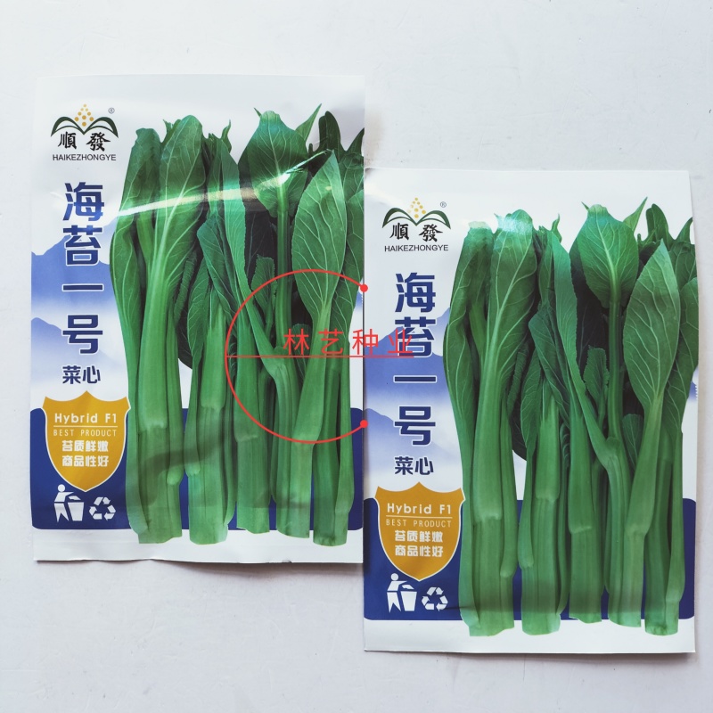 顺发海苔一号早熟菜苔种子菜心漂亮苔质鲜嫩菜苔种子
