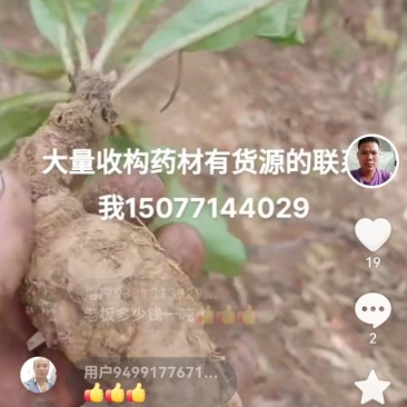 虎掌草，扁竹根，马蹄香，干巴菌，牛干菌