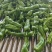 芜湖椒，线椒，螺丝椒牛角，一手货源批发品质保证价格美丽